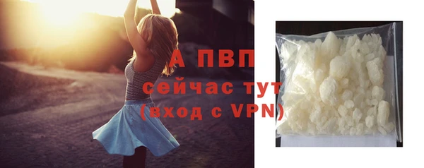 a pvp Корсаков