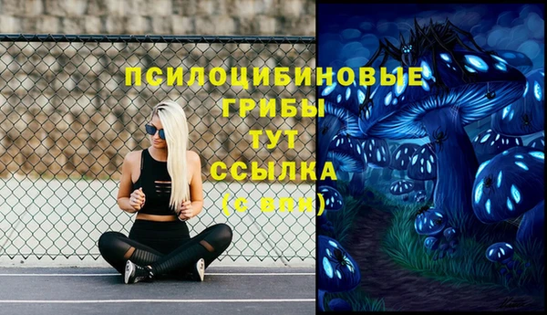 a pvp Корсаков