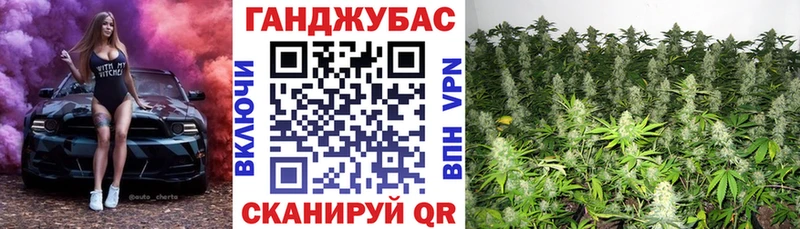 Купить где  Заводоуковск  Канабис AK-47 